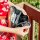 Diabetes Gürteltasche "Joslin" | Myabetic® - L (95 - 110 cm)