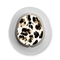 Dexcom G7 Sticker - 9er Set "Cheetah"
