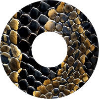 FreeStyle Libre 3 Pflaster - Mix-Paket - SAFARI