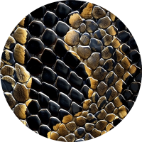 Overpatches - Mix-Paket - SAFARI