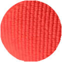 Rot